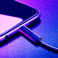 El lindo patrón del bloqueador USB antirrobo Nezha para la seguridad de los datos-Protegido con contraseña y prevención de malware