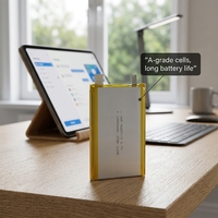 Batterie Li-Polymère Rechargeable de Haute Qualité pour Tablette PC, 37Wh, 9066115, 3.7V, 10000mAh, Batterie Lipo Power Bank, Certifiée MSDS CE