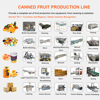 Industriële Ingeblikt Fruit Papaja Ananas Verwerkingsmachine Papaja Sap Productielijn