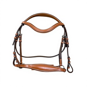 Bridon en cuir de cheval avec nezier rembourré et sangles réglables, style anglais, ferrures en laiton - Product Image 6