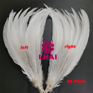 Bán Buôn 60-75Cm Dài Màu Trắng Tự Nhiên Bạc Gà lôi Đuôi Lông Cho Lễ Hội Lễ Hội Samba Trang Phục Trang Trí - Product Image 3
