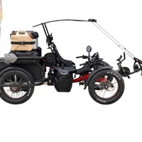 TrikExplor E-Truck 4WD Quad couché électrique avec module de chargement ou de passager Portée de 130 km
