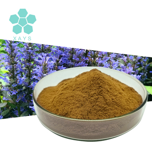 Заводская поставка, порошок Ajuga Turkestanica, порошок экстракта Ajuga Turkestanica - Product Image 1