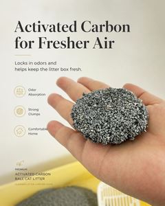 Échantillons Gratuits OEM Litière pour Chat en Bentonite 100% Naturelle, Très Absorbante, Anti-Odeur, Agglomérante Forte - Product Image 2