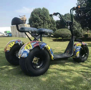 Le Scooter électrique à 3 roues City Coco le plus à la mode pour <span class=keywords><strong>moto</strong></span> électrique adulte Tricycle - Product Image 6