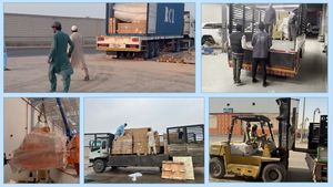 Caravanes à vendre Importation au Royaume-Uni Revente Agent maritime Chine Livraison porte-à-porte par avion Camion USA Mexique UE Italie - Product Image 6