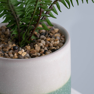 Deco piante grasse bianco verde grigio tre della banda di colore del modello di porcellana pianta alti piccoli vasi - Product Image 6