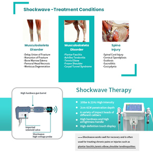 Máquina de Terapia Ultrassônica e de Ondas de Choque 4 em 1 para Recuperação Acelerada de Lesões Esportivas em Cavalos e Cães - Product Image 2