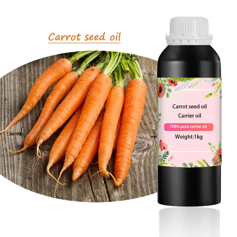 Privated Label Carrot Seed Oil Plant Extract Essence Non-GMO Supplier Body Skin Essential Custom Bulk Carrier Oils Eyebrow Care
