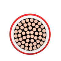 Câble cc isolé XLPE en cuivre électrique d'usine de la Chine d'approvisionnement direct pour le panneau solaire photovoltaïque pour des applications de construction