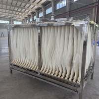 Membranes de filtration PVDF pour le traitement de l'eau, 500 mètres carrés, pour la microfiltration et le recyclage de l'eau