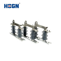HOGN Disconnector d'interrupteur isolant composite de haute qualité de type HGW9-A pour utilisation en extérieur