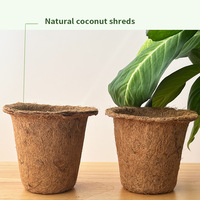 Pots à semis biodégradables à 100 %, respectueux de l'environnement, en fibre de coco, fabriqués par des fabricants de pots à semis respectueux de l'environnement