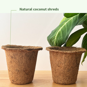 <span class=keywords><strong>Macetas</strong></span> para Plántulas de Fabricante, Respetuosas con el Medio Ambiente, 100% Biodegradables, <span class=keywords><strong>Macetas</strong></span> Ecológicas de Fibra de Coco - Product Image 4
