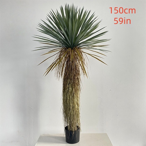 150 cm/59 pouces