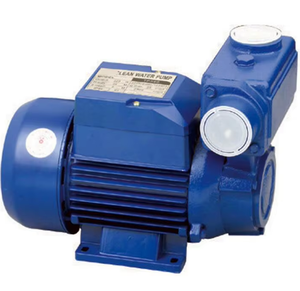 Bomba de Agua Autocebante Serie Eddy+TPS / Bomba Periférica de Circulación de 1hp para Jardín - Product Image 4