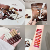Lot de 12 rouges à lèvres en capsule couleur chocolat, teintes quotidiennes, longue tenue, anti-transfert, format voyage, mini, vente en gros
