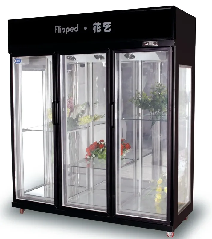 Frigoriferi commerciali a due porte con tre porte in vetro per frigorifero di fiori freschi