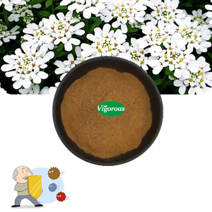 Muestra Gratuita de Extracto de Candytuft, Mejor Precio, Alta Calidad, Extracto de Iberis <span class=keywords><strong>Amara</strong></span> en Polvo 10:1 - Product Image 1
