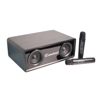 Microphone portable personnalisable pour karaoké, avec entrée auxiliaire et alimentation CC, pour 2 micros sans fil, en plastique et métal
