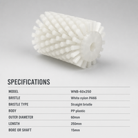 Brosse à poils droits en nylon blanc WNB-60x250 PA66 Brosse à rouleaux cylindrique avec corps en plastique PP