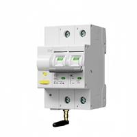 Disjoncteur intelligent miniature SLS TUYA WiFi 63A 2P 3P 4P 220V/230V avec compteur d'énergie, contrôle à distance sans fil via application pour maison connectée
