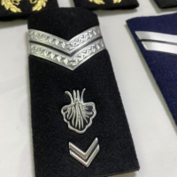 Épaulettes personnalisées en métal, badges brodés, insignes de grade pour uniformes d'aviateurs et accessoires d'uniformes professionnels