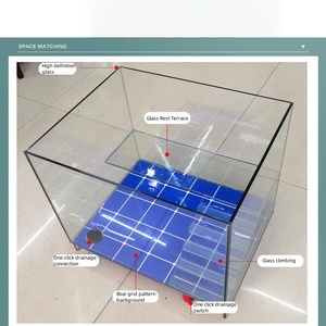 <span class=keywords><strong>Custom</strong></span> Transparant Milieuvriendelijk Reptiel Terrarium Aquarium Aquarium Met Zonnebakken Platform Hoge Heldere Glazen Schildpad Tank - Product Image 2