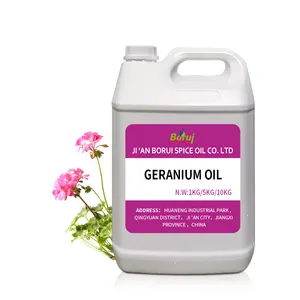 Steam distilled wholesale bulk price pharmaceutical grade 100% pure natural organic geranium essential oil