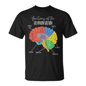 Anatomie du cerveau humain, diagramme de neurologie, t-shirt coloré sur le cerveau - Product Image 1