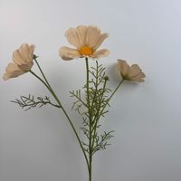 Fleur de marguerite Cosmos blanche en latex à toucher réaliste pour centre de table, arrangement floral, décoration de mariage et de fête