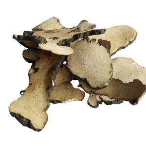 Coupes séchées naturelles sauvages Grifola <span class=keywords><strong>umbellata</strong></span> Pilat bien séchées Grifola <span class=keywords><strong>umbellata</strong></span> à vendre - Product Image 1