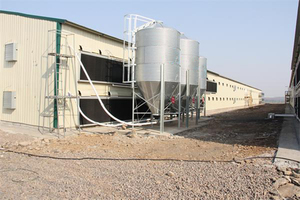 Gabbia di allevamento di pollo/strato uovo gabbia di pollo/pollaio Design pollaio automatico gabbia di pollame batteria di pollo bianco - Product Image 2