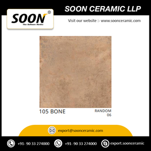 กระเบื้องพอร์ซเลนบิอันโกคุณภาพส่งออกของอินเดีย ขนาด 600x600 มม. สำหรับตกแต่งห้องนอนและห้องนั่งเล่น นำเข้าจากอินเดีย - Product Image 3