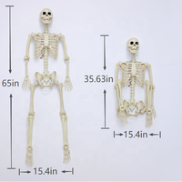 Squelette d'Halloween personnalisable de 165 cm avec articulations mobiles, os humains en plastique pour maison hantée, fête et décoration extérieure