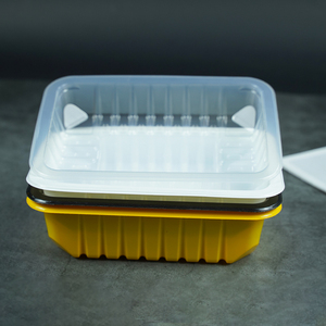 ถาดพลาสติก PP แบบใช้แล้วทิ้งสำหรับบรรจุไก่ย่าง ซูชิ สลัด พิซซ่า และบะหมี่ - Product Image 6