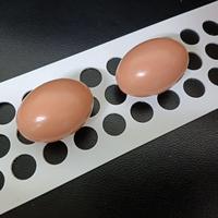 Bandes transporteuses d'œufs durables en polypropylène