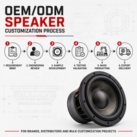 Subwoofer Mobil Custom 10 Inch 500W RMS OEM ODM Speaker Audio Mobil untuk Merek Eropa dan AS