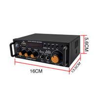 Mini voiture Audio amplificateur de puissance haut-parleur DC 12V 220V BT amplificateur de puissance maison karaoké stéréo professionnel amplificateur Audio récepteur
