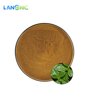 高品質天然食品グレードビルベリー葉エキス粉末、ハックルベリー葉エキス粉末 - Product Image 3