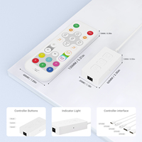 Contrôleur LED WiFi IoT SP548E SPI RGB, contrôle par application + commande vocale Alexa & Google Home, synchronisation musicale, bande LED adressable