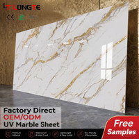 Fabricant de premier plan de panneaux en PVC peints aux UV, exportation mondiale, décoration murale de haute qualité, plaque en plastique ignifuge