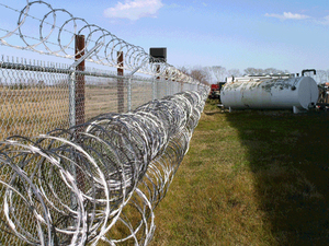 <span class=keywords><strong>PVC</strong></span> tráng nhúng nóng mạ kẽm sắt thép gai cuộn dây concertina dây cho hàng rào bảo vệ mạ kẽm dao cạo dây lưới - Product Image 2