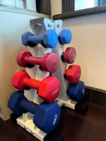 Support de Rangement pour Haltères à 4 Niveaux en Forme de A avec Coussinets en Caoutchouc, Porte-Haltères Robuste en Acier pour Entraînement à Domicile