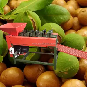 Hot selling new design green walnut peeling machine/hard walnut cracking machine