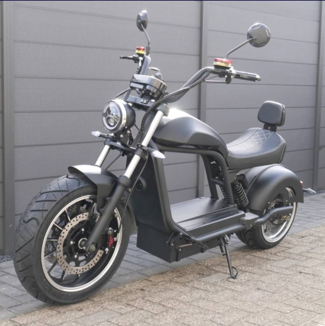 Цена по прейскуранту завода-изготовителя измельчитель модель HL-6.0 2000W 3000W 20AH 30AH 45AH дальний двухколесные электрические скутеры с 2 колеса citycoco скутер для взрослых