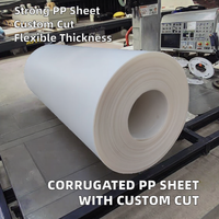 Feuille de protection en plastique PP ondulé en rouleau avec service de moulage, épaisseur 2-12 mm, taille 1200x2400 mm