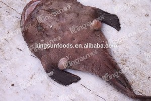 Giá tốt chất lượng cao monkfish WR - Product Image 5