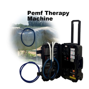 เครื่อง PEMF แบบพกพาสำหรับม้า พร้อมหน้าจอสัมผัสขนาด 7 นิ้ว สำหรับผ่อนคลายกล้ามเนื้อที่ตึงและบรรเทาความเครียดทางร่างกาย - Product Image 1