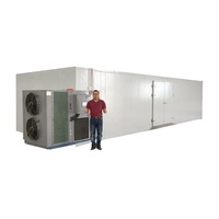 Déshydrateur de fruits industriel multifonctionnel de la marque Hello River, installation facile, pour avocat, fraise, prune